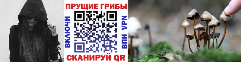 ссылка на мегу ссылка  Нижневартовск  Псилоцибиновые грибы Psilocybine cubensis 