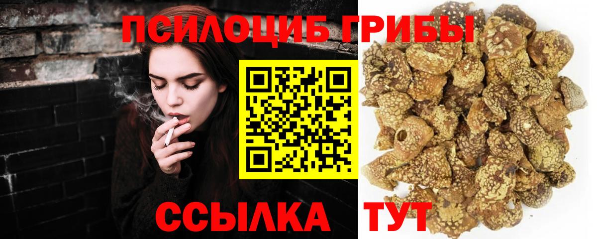 Нижневартовск  Псилоцибиновые грибы мухоморы  Вход с VPN 
